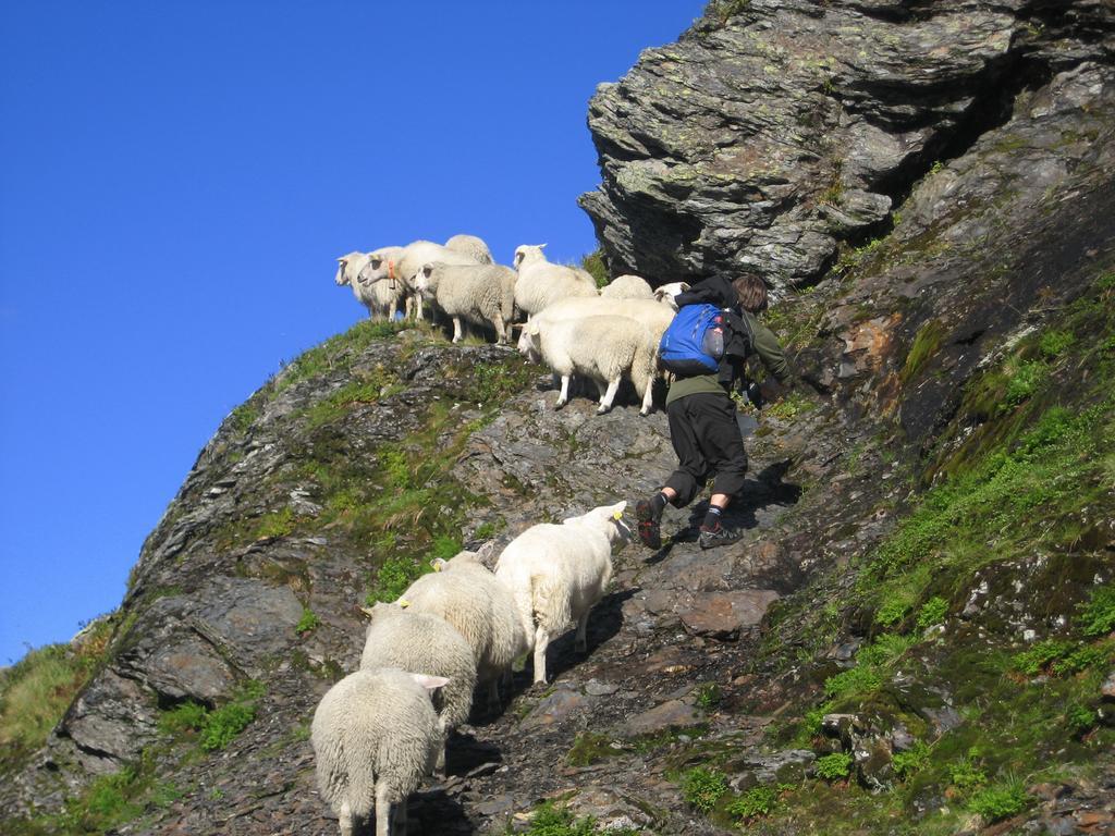 Fjordhotel 4* Ulvik